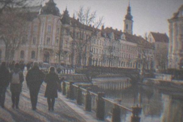 Two-Day Private, Dracula's Castle, Timisoara