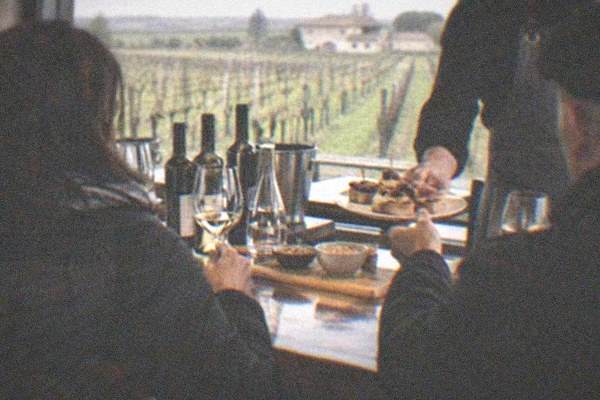 Winery Visit, Wine Tasting Included, Timisoara