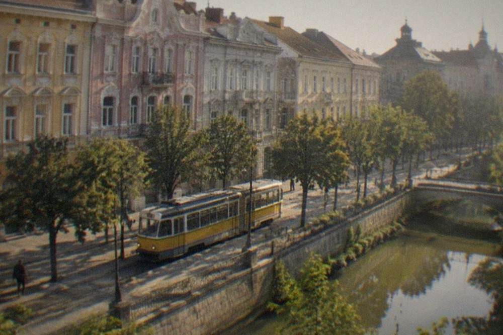 A tram passing colorful Secession-era buildings on a tree-lined street in Timisoara