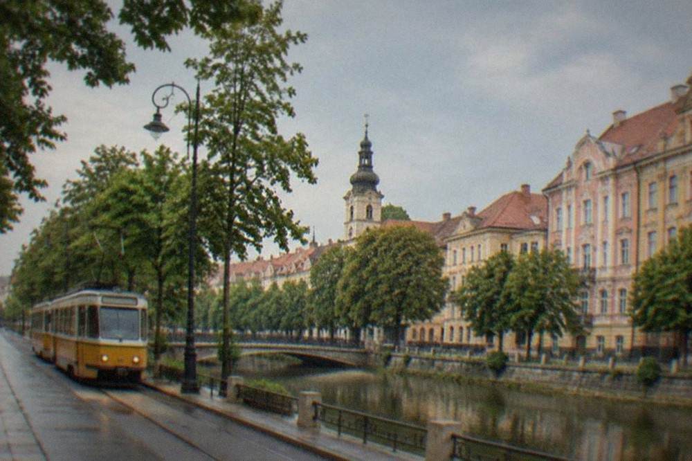 A tram moving along a tree-lined street in central Timisoara