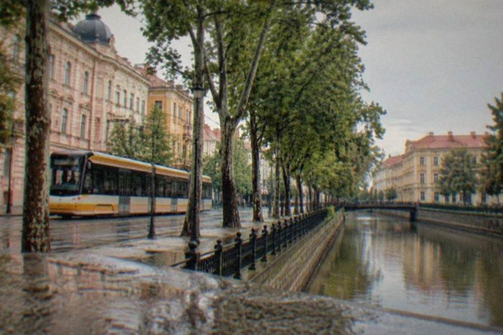 A tram passing modern and historic buildings on a tree-lined street in Timisoara