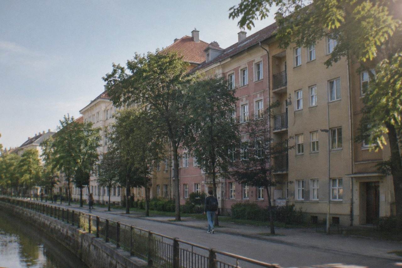 Student dormitory buildings along a tree-lined street in Timisoara on a bright afternoon