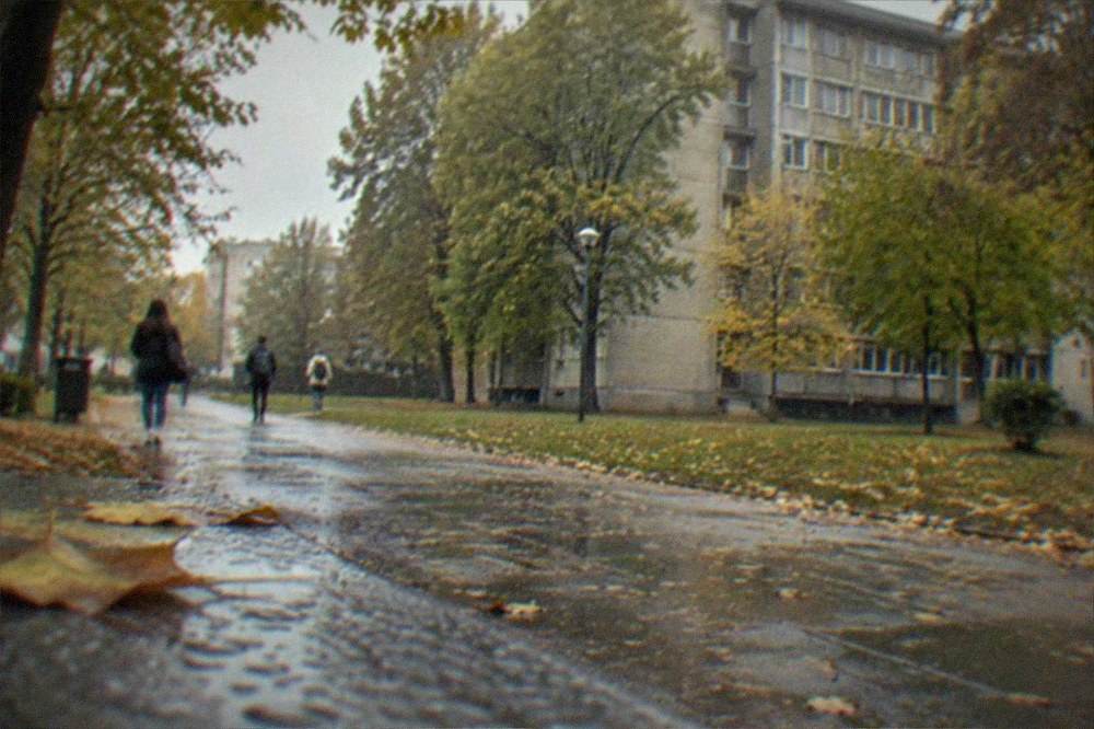 A park path near the campus with autumn leaves on the ground