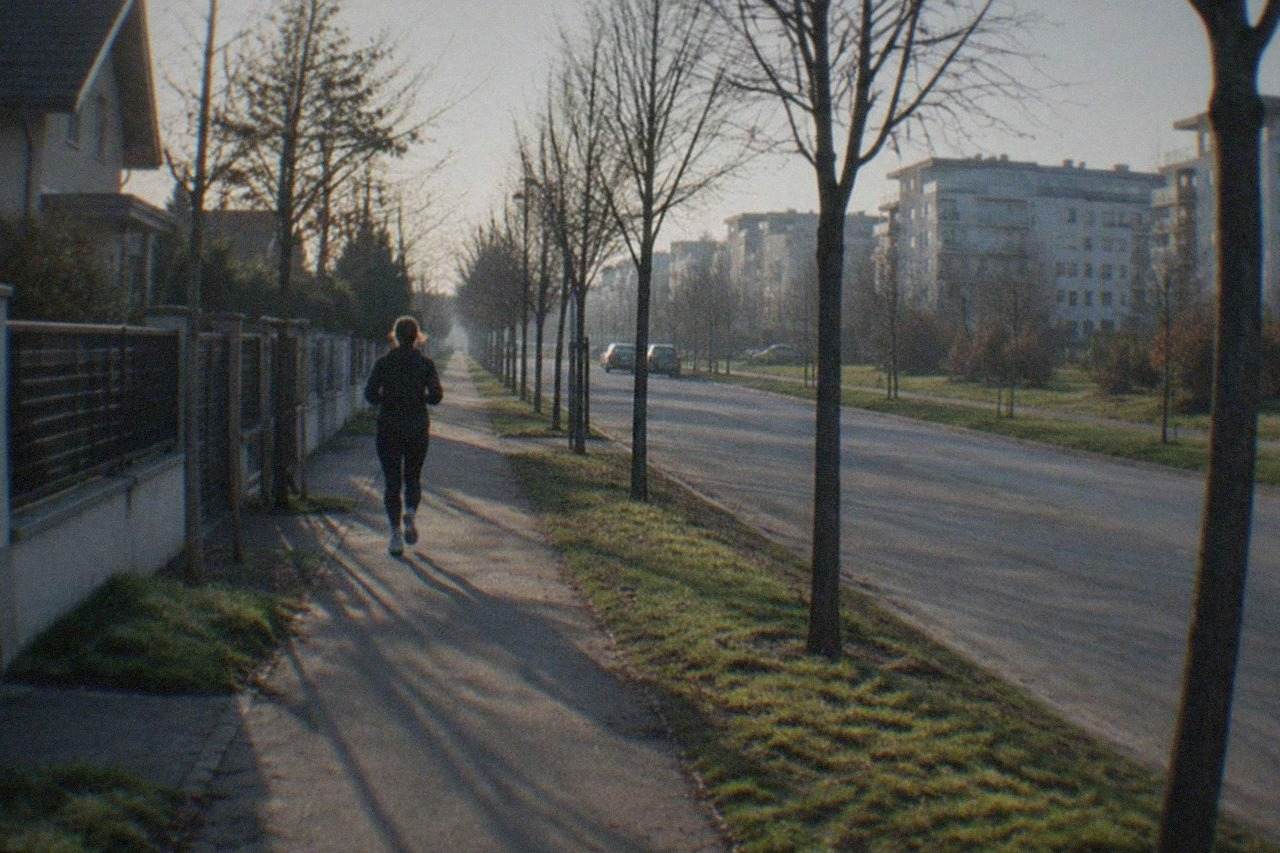 Tree-lined residential street in the Dumbravita district of Timisoara with apartment blocks and green spaces
