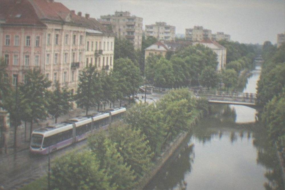 Modern tram passing through a green Timisoara neighborhood with apartment blocks behind