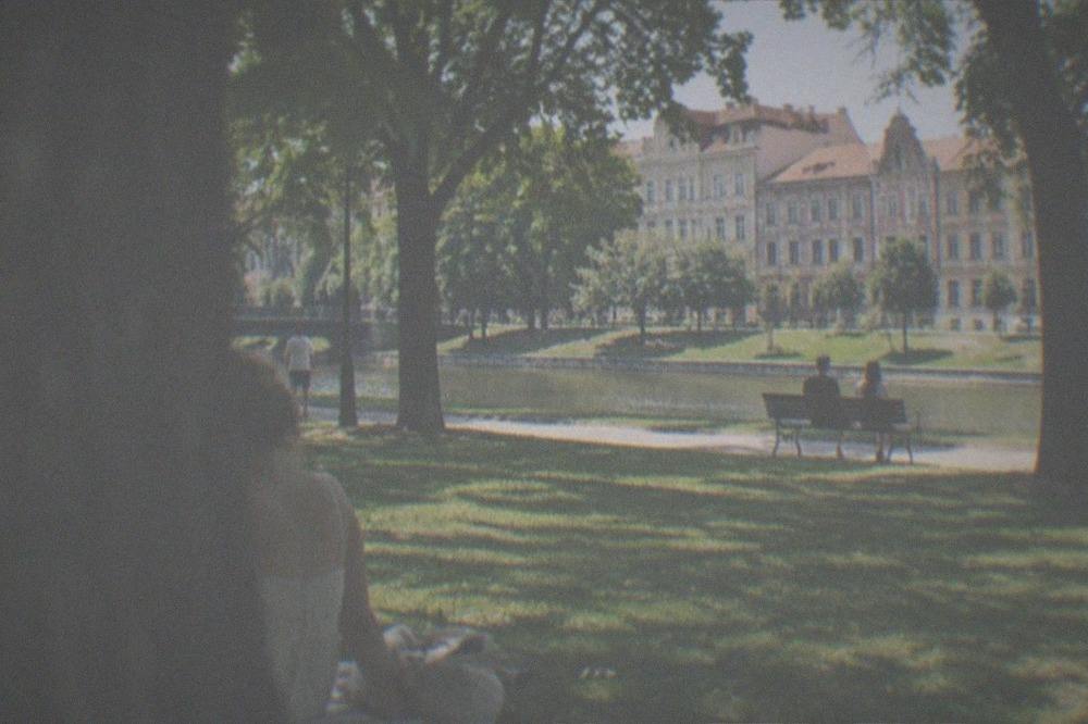 Sunny summer day in a Timisoara park with wide lawns and scattered trees