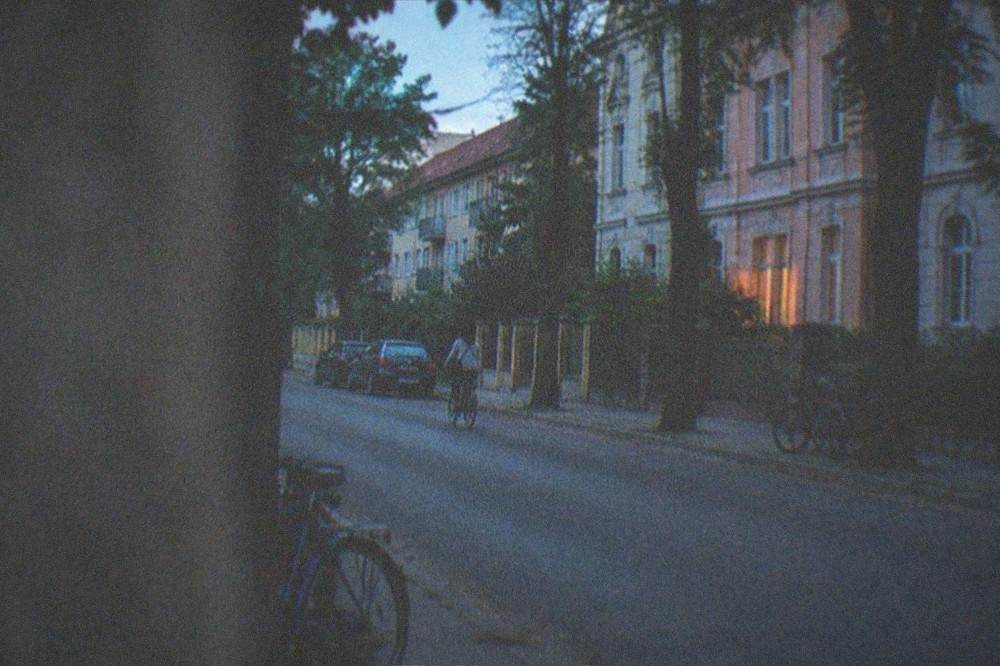A quiet residential street in Iosefin with parked bicycles and old trees