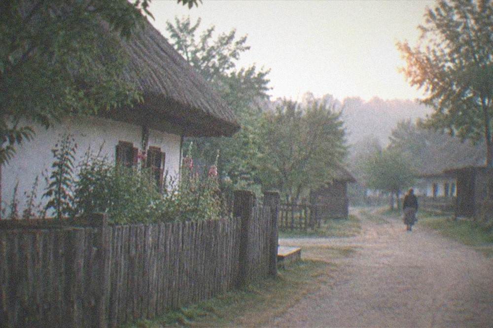 A dirt lane between traditional village houses with wooden fences and gardens at dusk