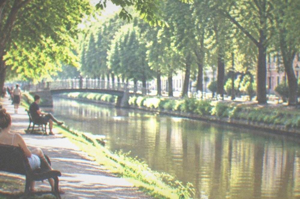 A canal bank in summer with leafy trees, a paved path and people on benches in warm light