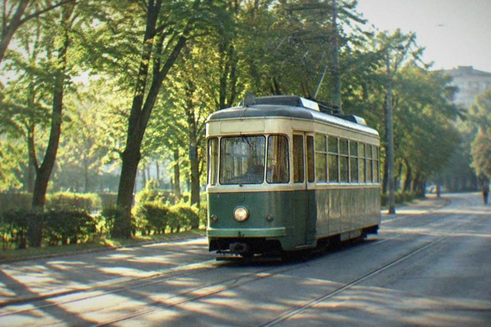 A vintage tram passing green trees on a Timisoara street