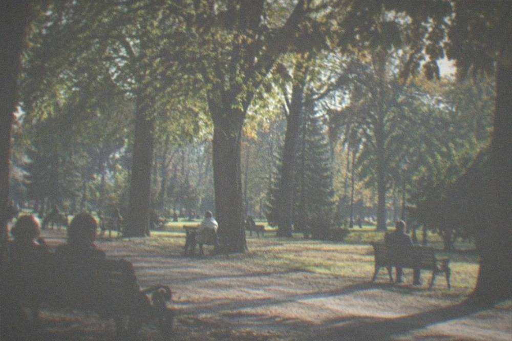 People relaxing on benches under large shade trees in a park