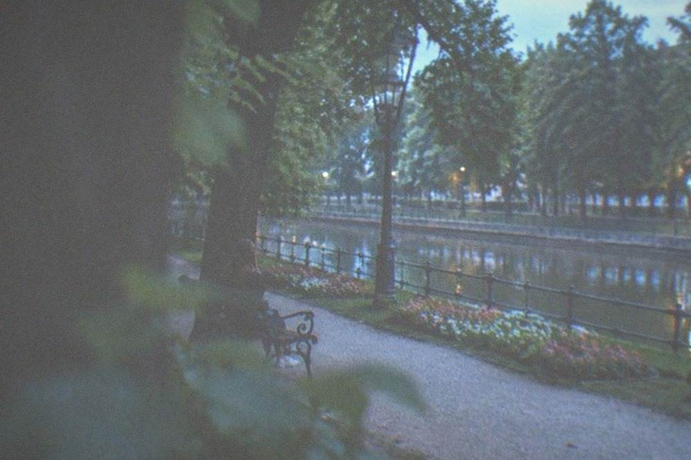 Flowerbeds and tree-lined avenue beside a canal in a European city
