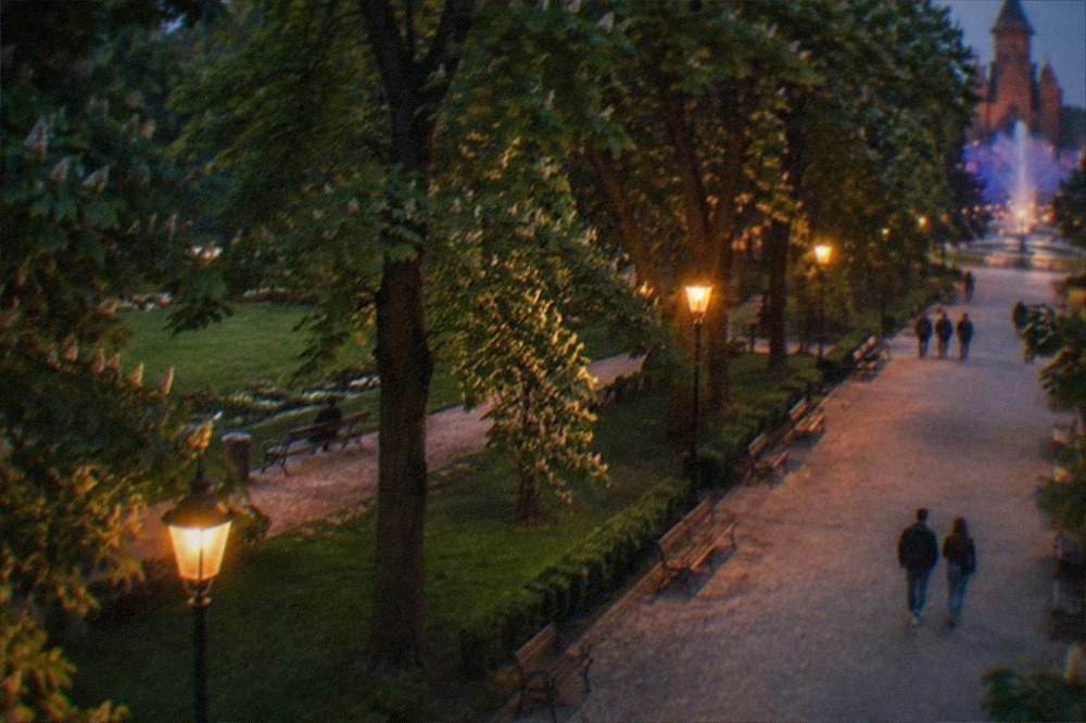 Golden hour light on tree-lined promenade near a city square