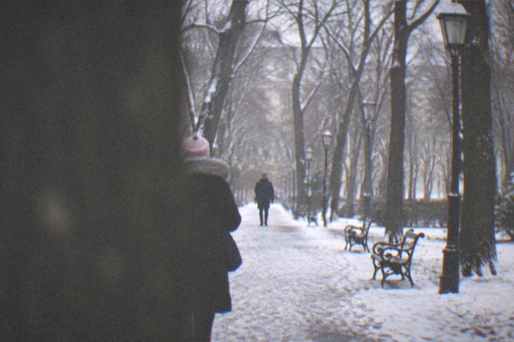 Snow-dusted park path with bare winter trees and lampposts