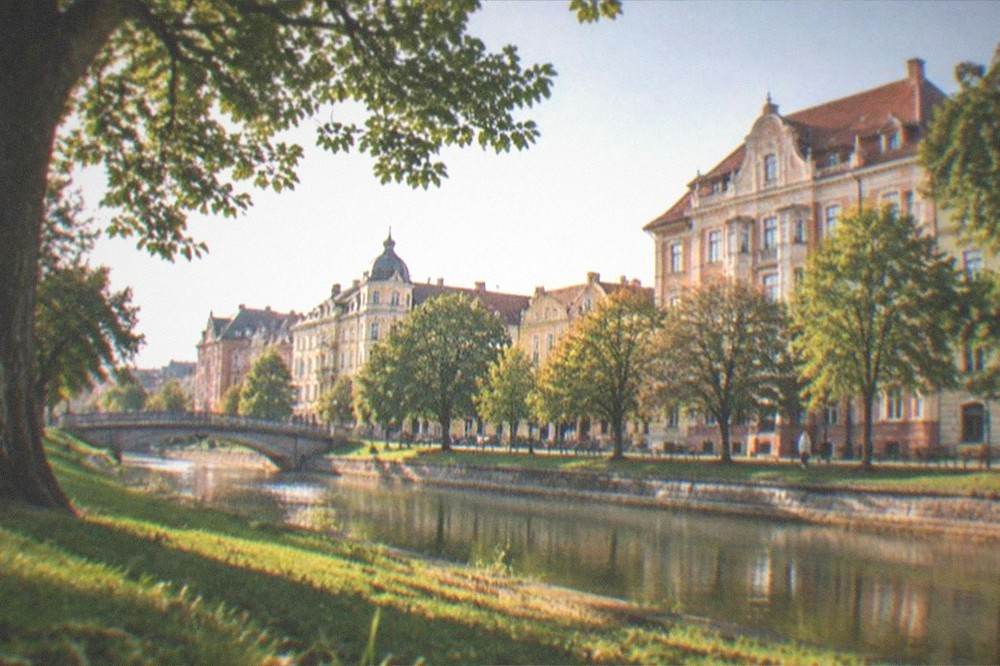 A wide green park landscape in Timisoara with mature trees and city buildings beyond