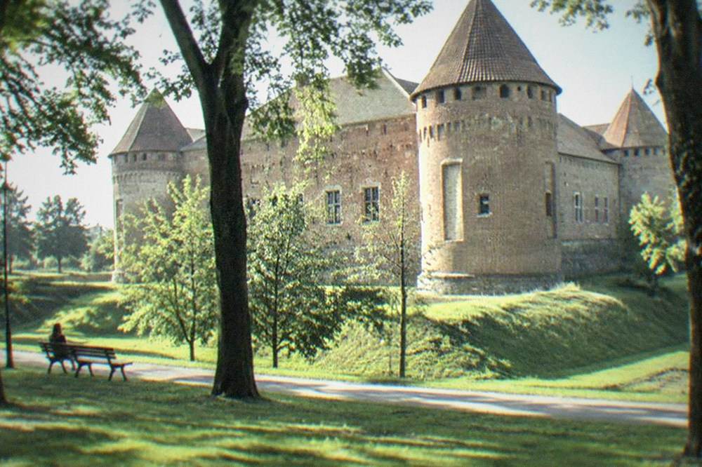 The Huniade Castle park with mature trees and the castle wall behind them