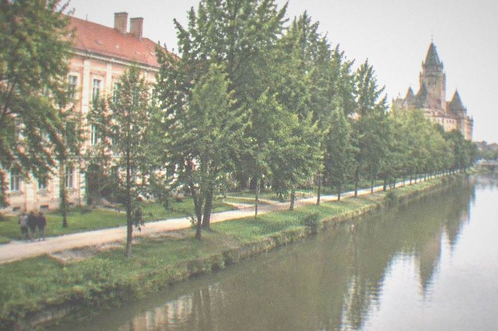 The Bega canal flowing past the tree-lined bank near the castle