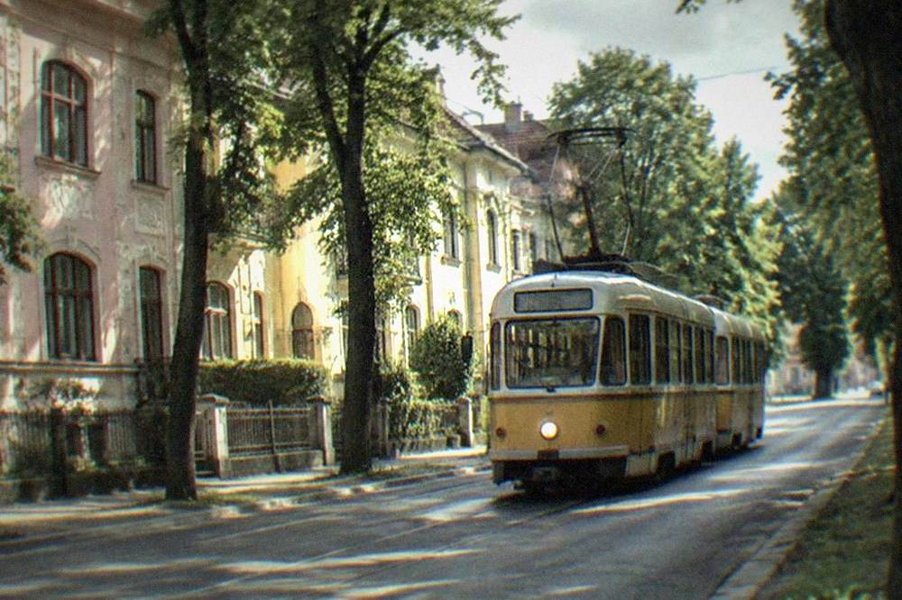 A tram passing along a tree-lined street in Timisoara near the Iosefin district