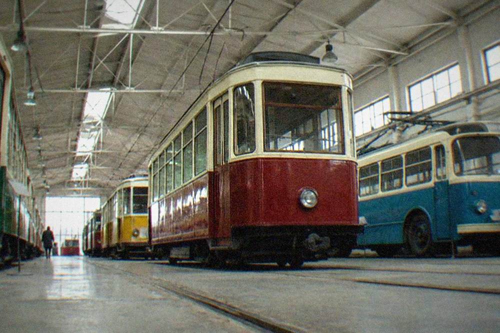 Rows of vintage trams from different eras lined up inside a museum hall
