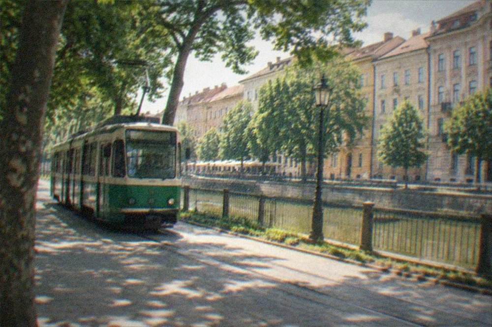 A tram passing green trees along a sunlit street in Timisoara in summer