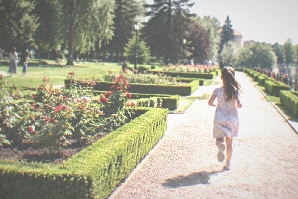Families walking on a park lawn with flower beds and tall trees
