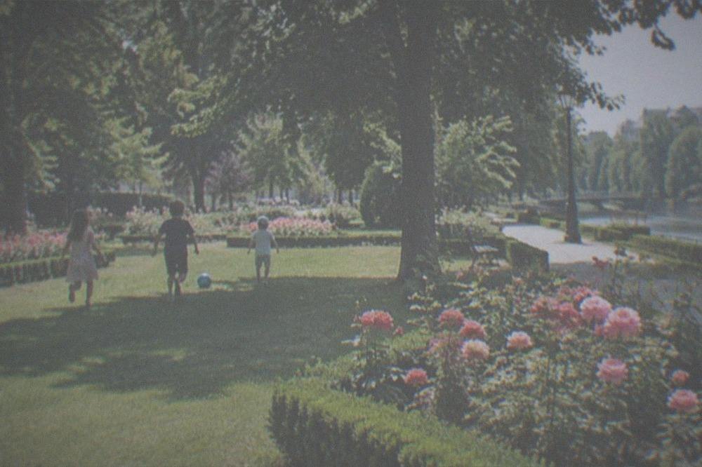 Children playing on a grassy park lawn near a rose bed under large trees