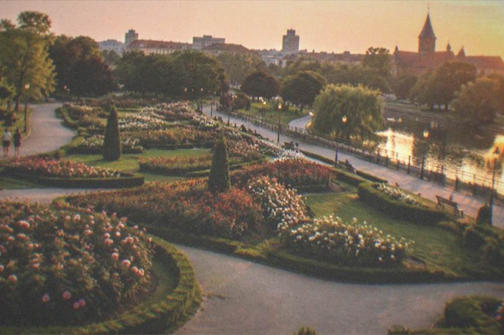 Wide view of a rose garden with curved beds, lawns and city skyline in the background