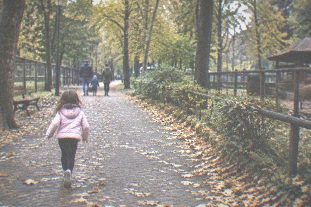 Autumn leaves along a zoo path with a family walking in the distance