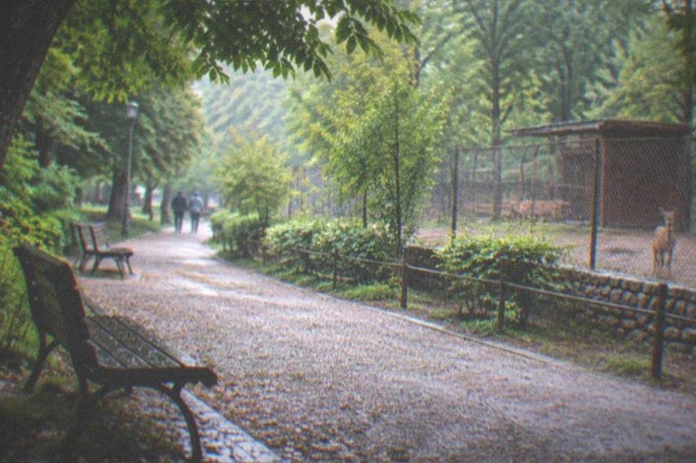 Sunlit clearing in a city forest park with benches and a gravel path