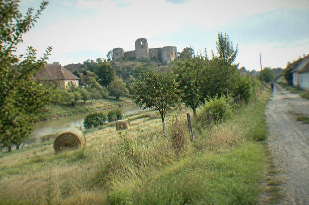 Orchard and hay meadow beside a village lane in the Banat plain
