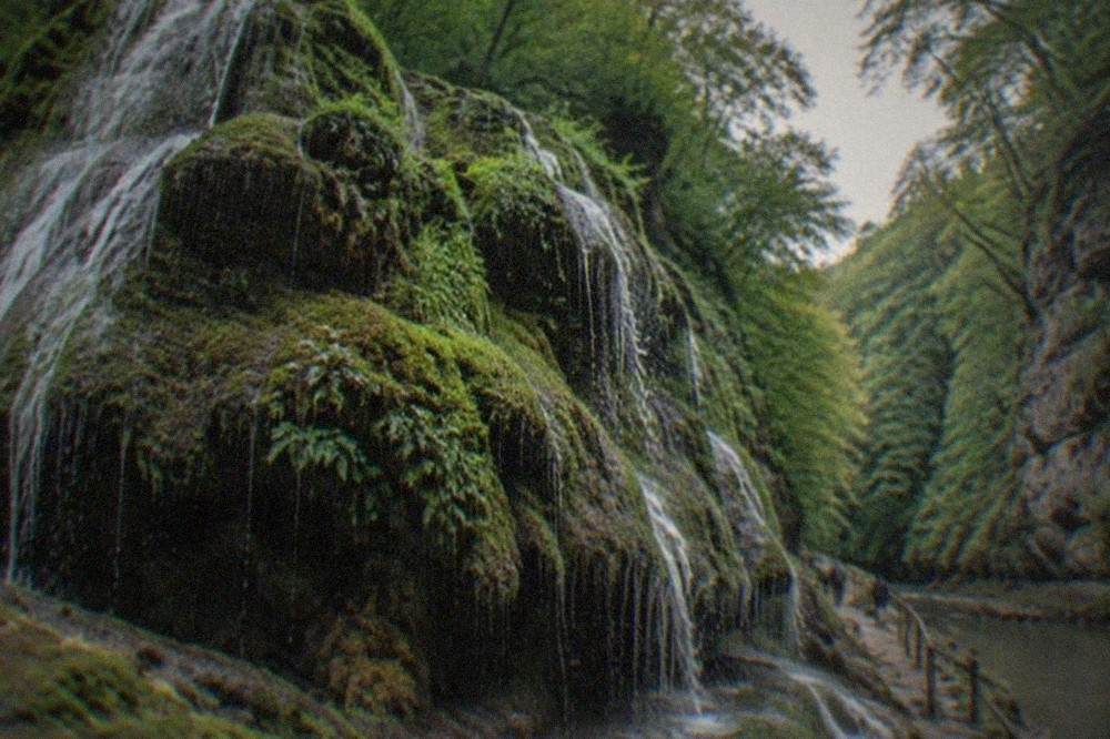 Forest trail along a river in a narrow limestone gorge with sunlight through the canopy