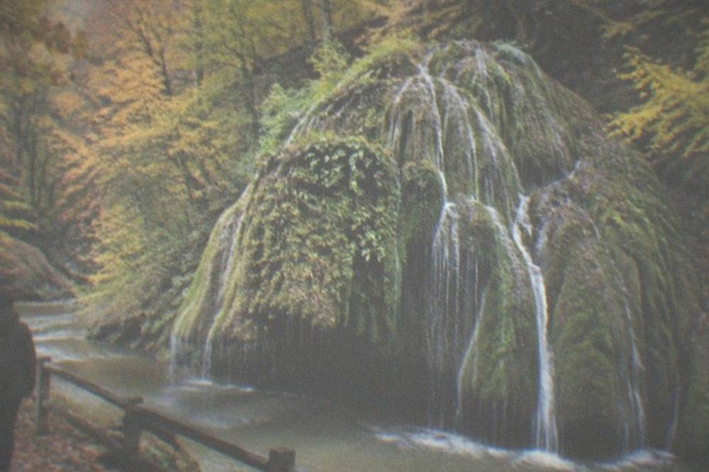The waterfall surrounded by autumn beech forest in orange and yellow colors