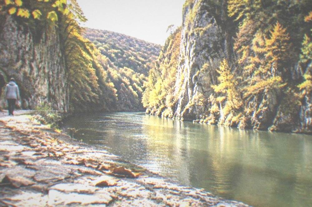 Golden autumn forest above a green river in a limestone gorge