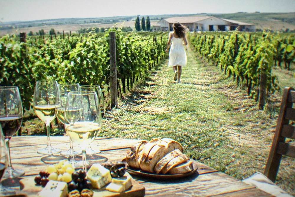 A tasting table set with several wine glasses, a cheese board and a sliced loaf of bread