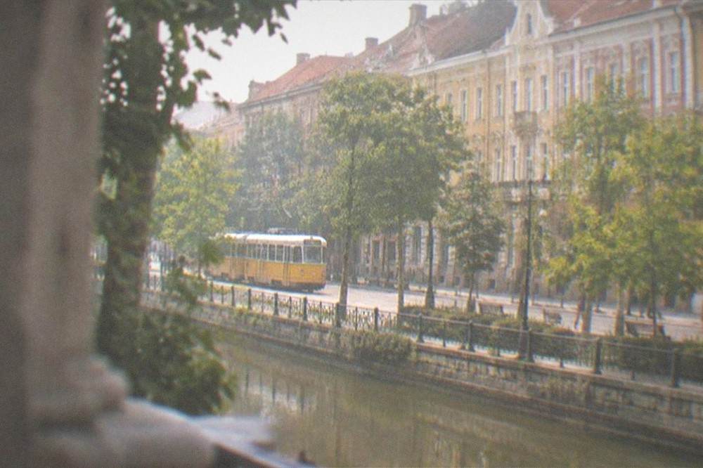 A yellow tram moving along a tree-lined street in central Timisoara