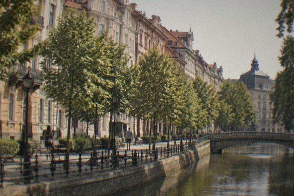 A tree-lined street of ornate early twentieth-century buildings in an old Timisoara neighborhood