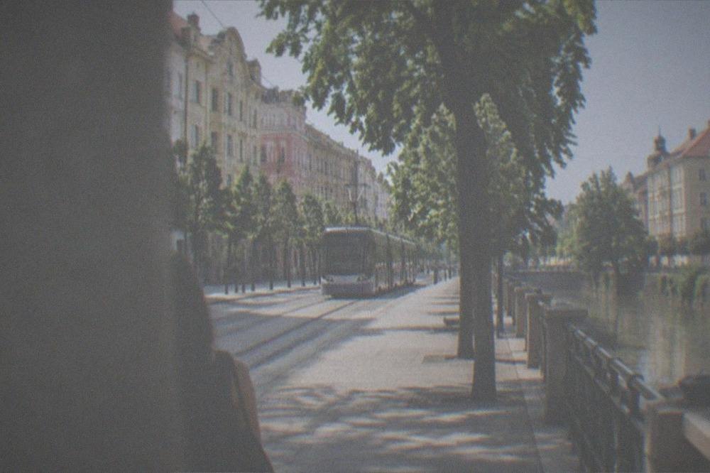 A modern tram moving down a tree-lined avenue in Timisoara