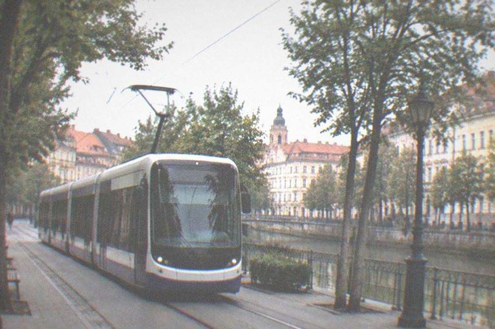 A modern tram moving down a tree-lined street in Timisoara