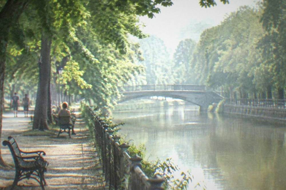 Tree-lined riverside promenade along a calm urban canal with bridges and benches