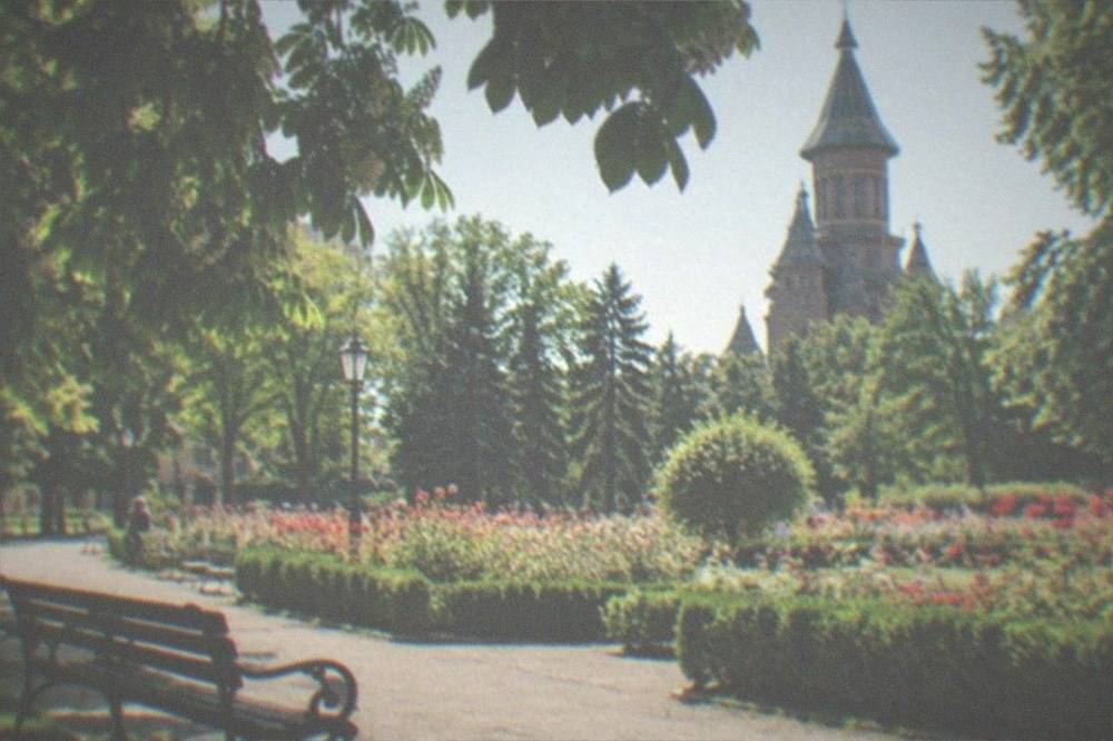 Formal rose garden in bloom with a cathedral tower rising behind the flower beds