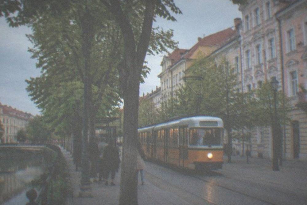A tram moving down a tree-lined street in Timisoara with passengers waiting at a stop