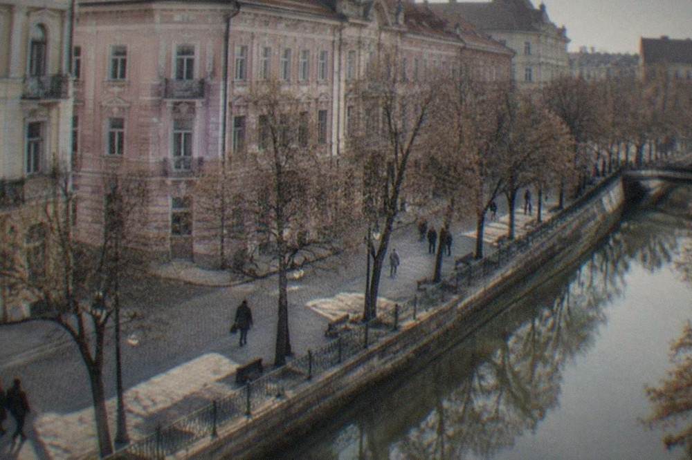 A tree-lined street with ornate early twentieth century facades in an old Timisoara district
