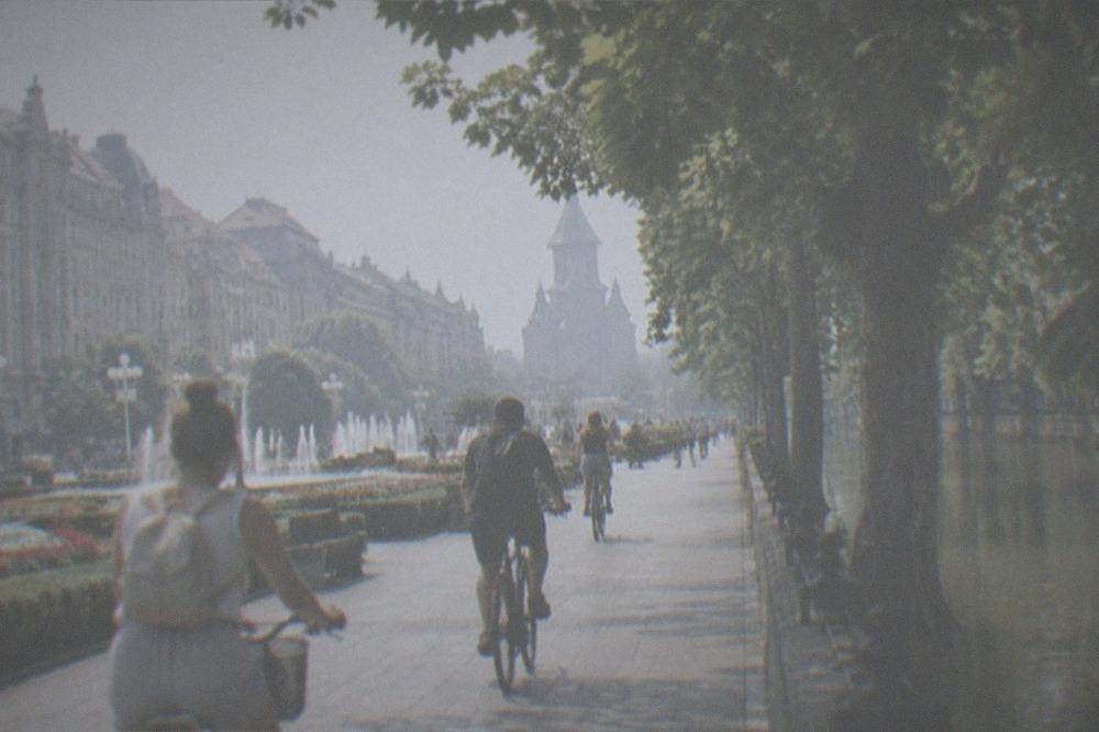 Tree-lined promenade beside a canal with people cycling on a summer day