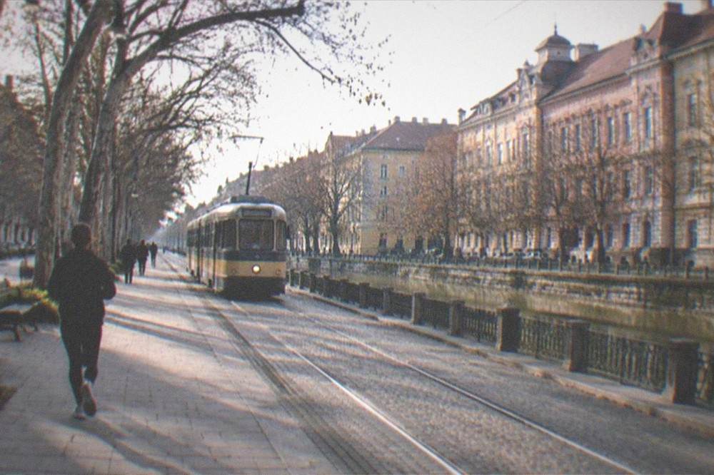 Tram moving down a tree-lined city boulevard in Timisoara