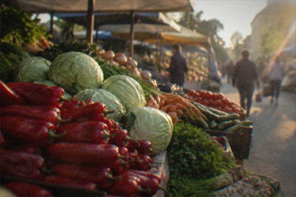A market stall piled with red peppers, cabbage and seasonal vegetables