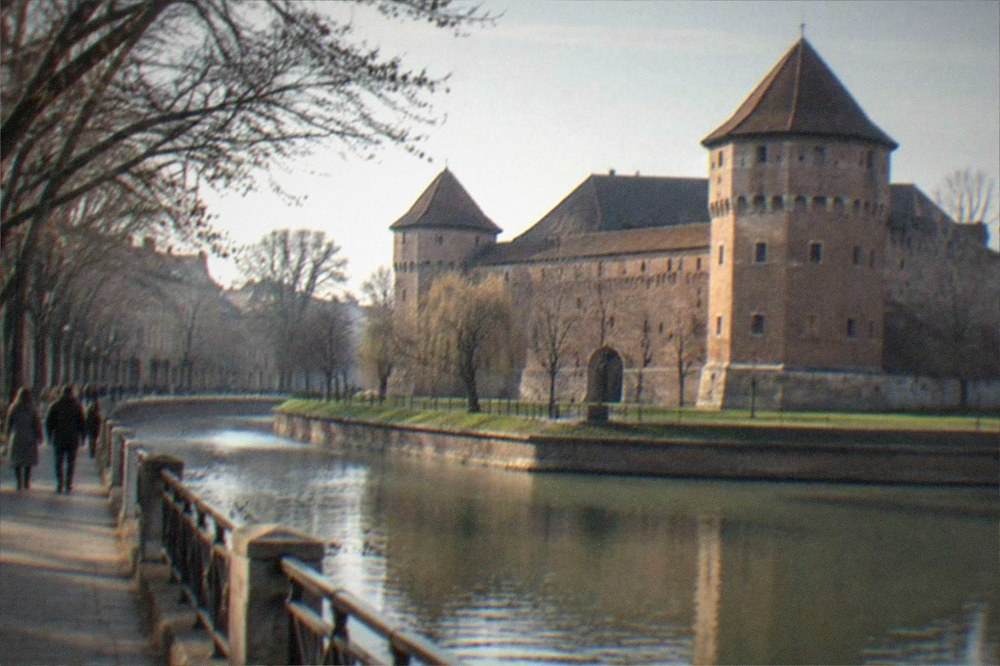 People strolling along a canal promenade lined with trees and old buildings