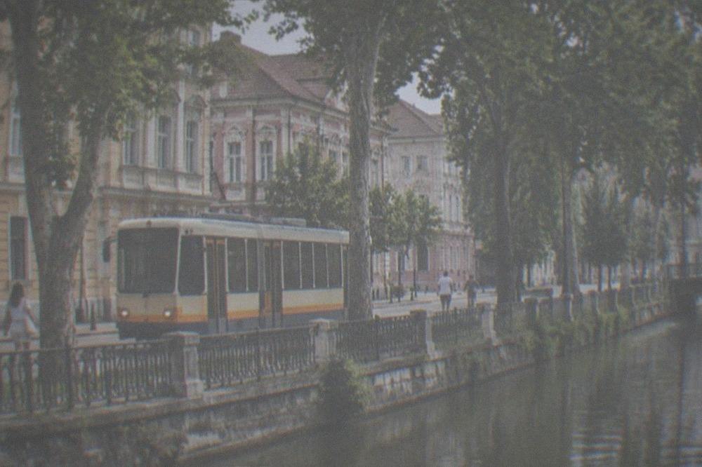 A tram passing colorful facades on a tree-lined street in Timisoara in summer
