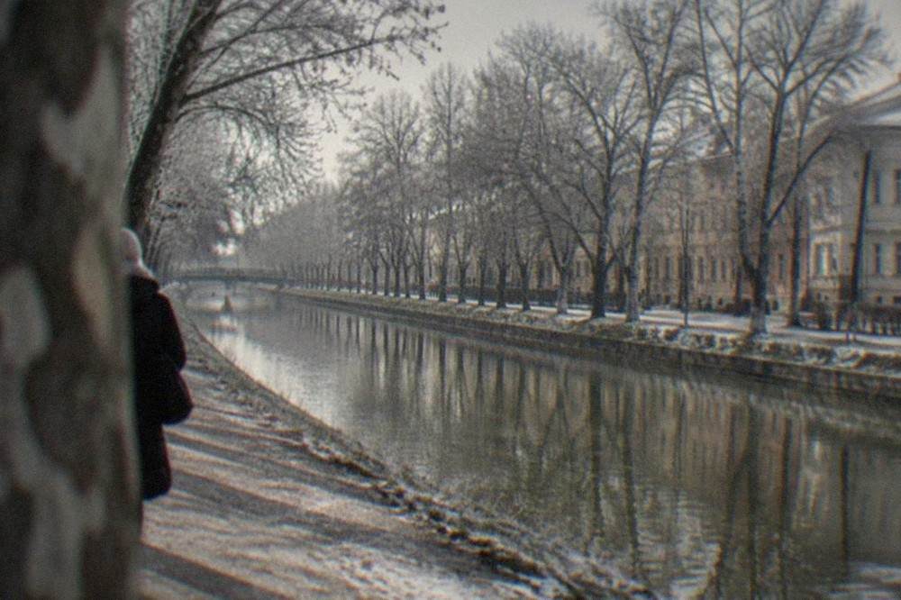 Frost-covered trees along the Bega canal in Timisoara on a winter morning