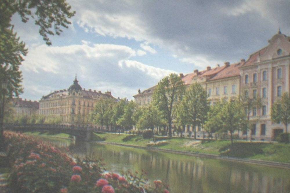 Rose beds in full bloom along a park path in Timisoara in late spring