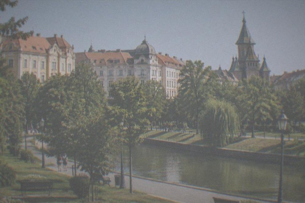 Wide view of a green park in Timisoara with the city skyline behind the trees